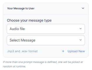 Audio File