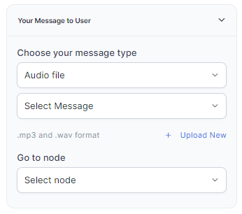 Audio File