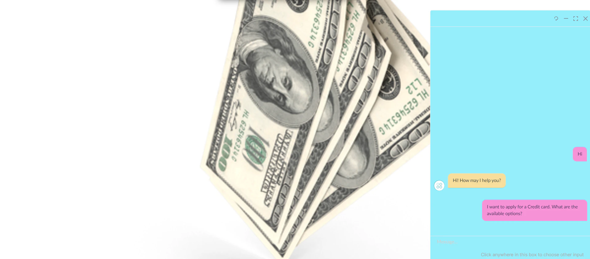 Preview Customization