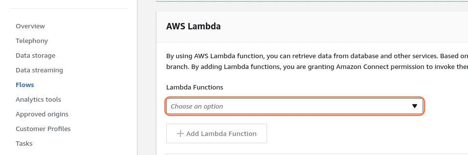 aws-lambda-option
