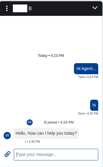 chat-conversation