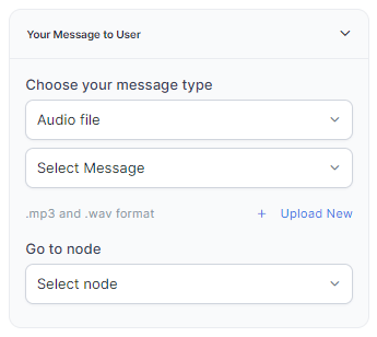 Audio File