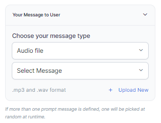 Audio File