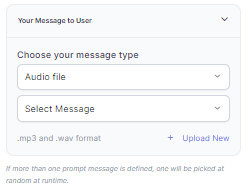 Audio File