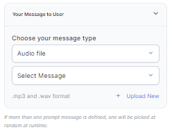 Audio File