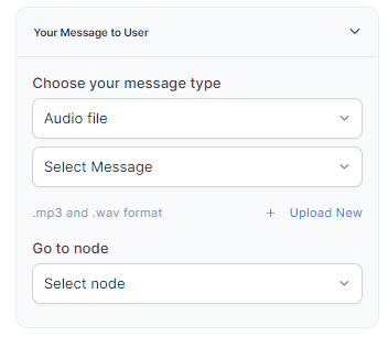 Audio File
