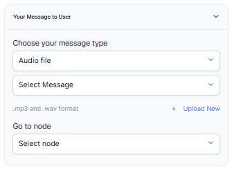 Audio File