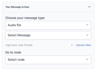 Audio File