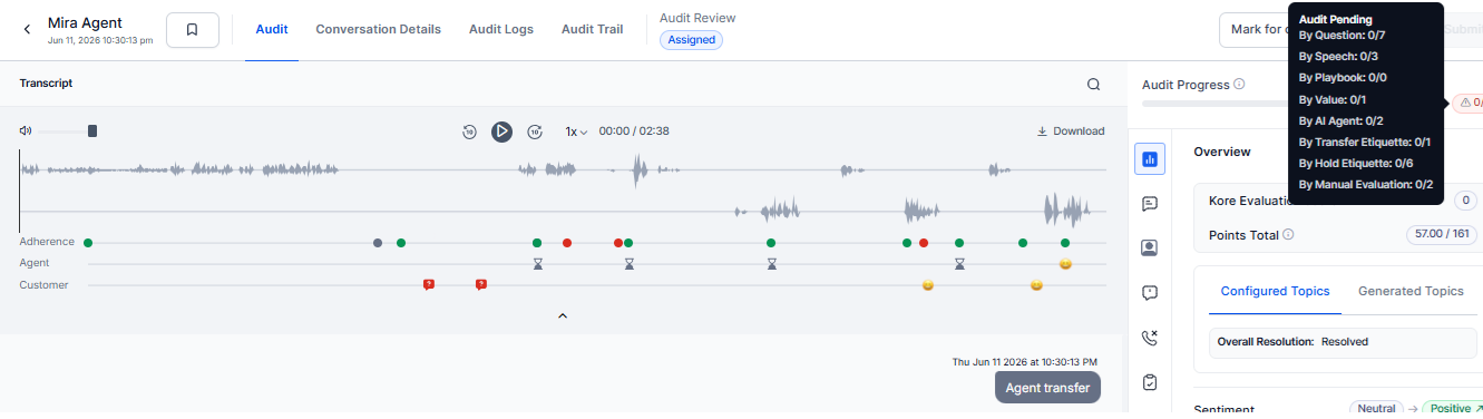 Audit Progress