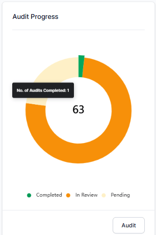 Audit Progress