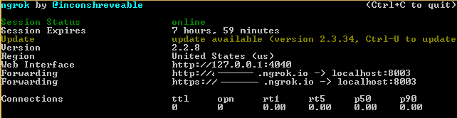 NGROK forwarding URL