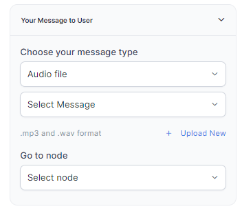 Audio File