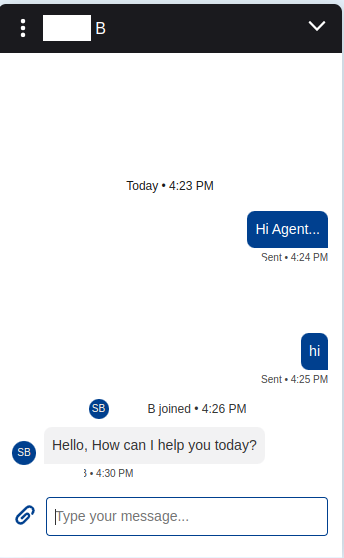 chat-conversation