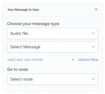 Audio File