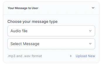 Audio File