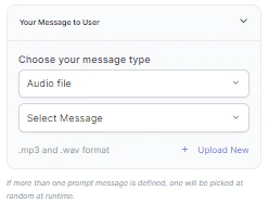 Audio File