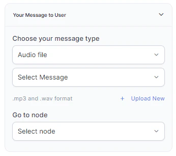 Audio File