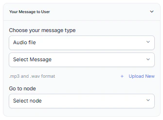 Audio File