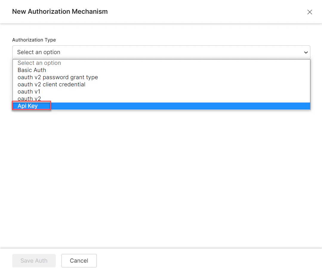 API Key
