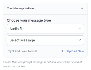 Audio File