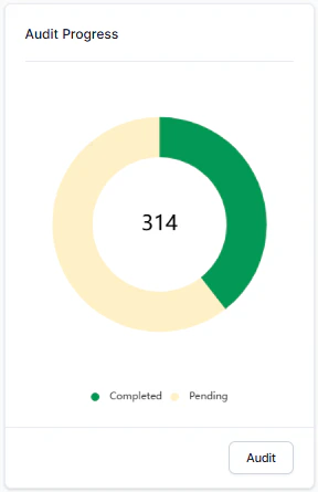 Audit Progress
