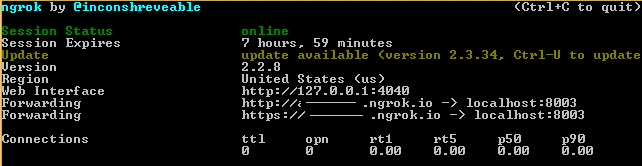NGROK forwarding URL