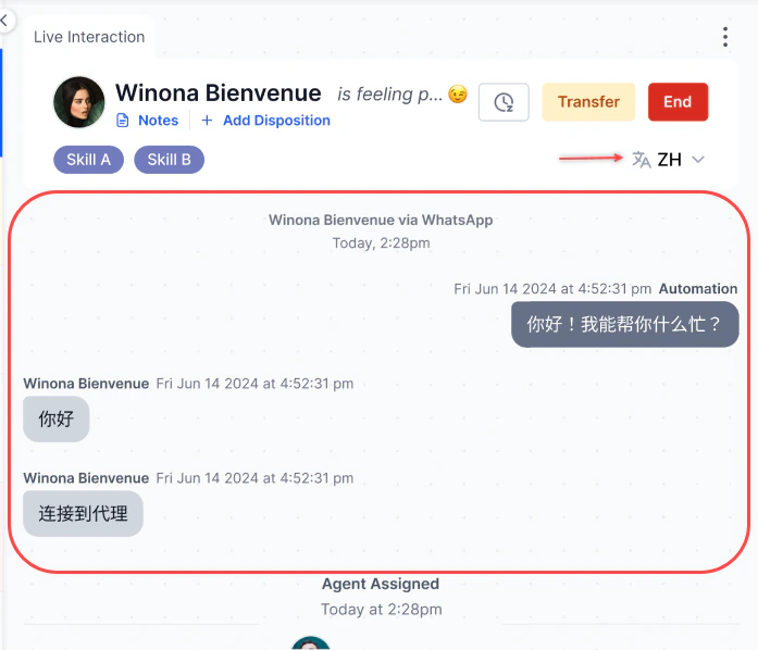 Translated Conversation