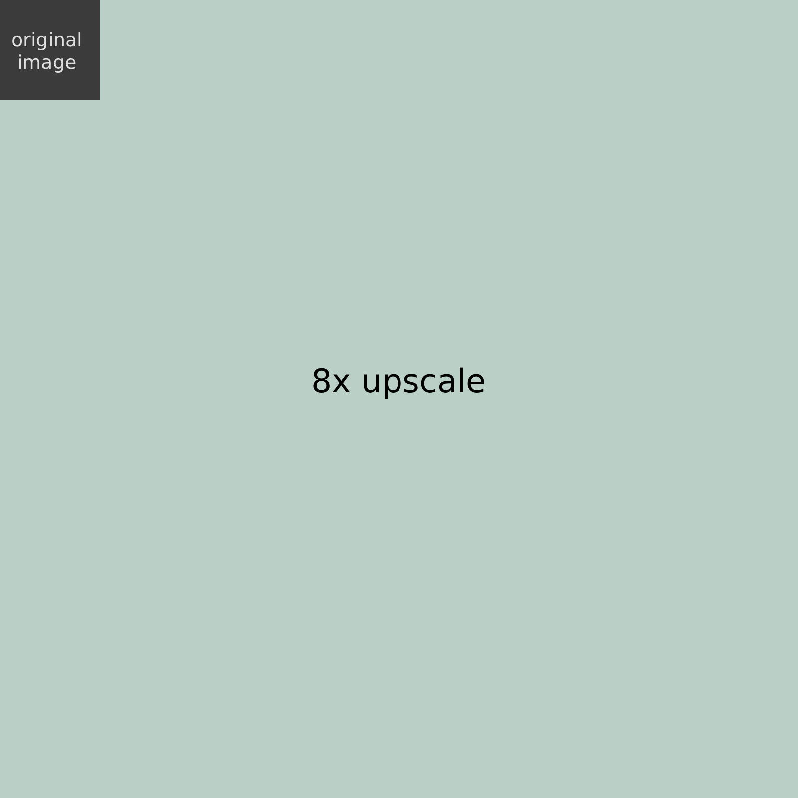 Upscaledimensions Pn