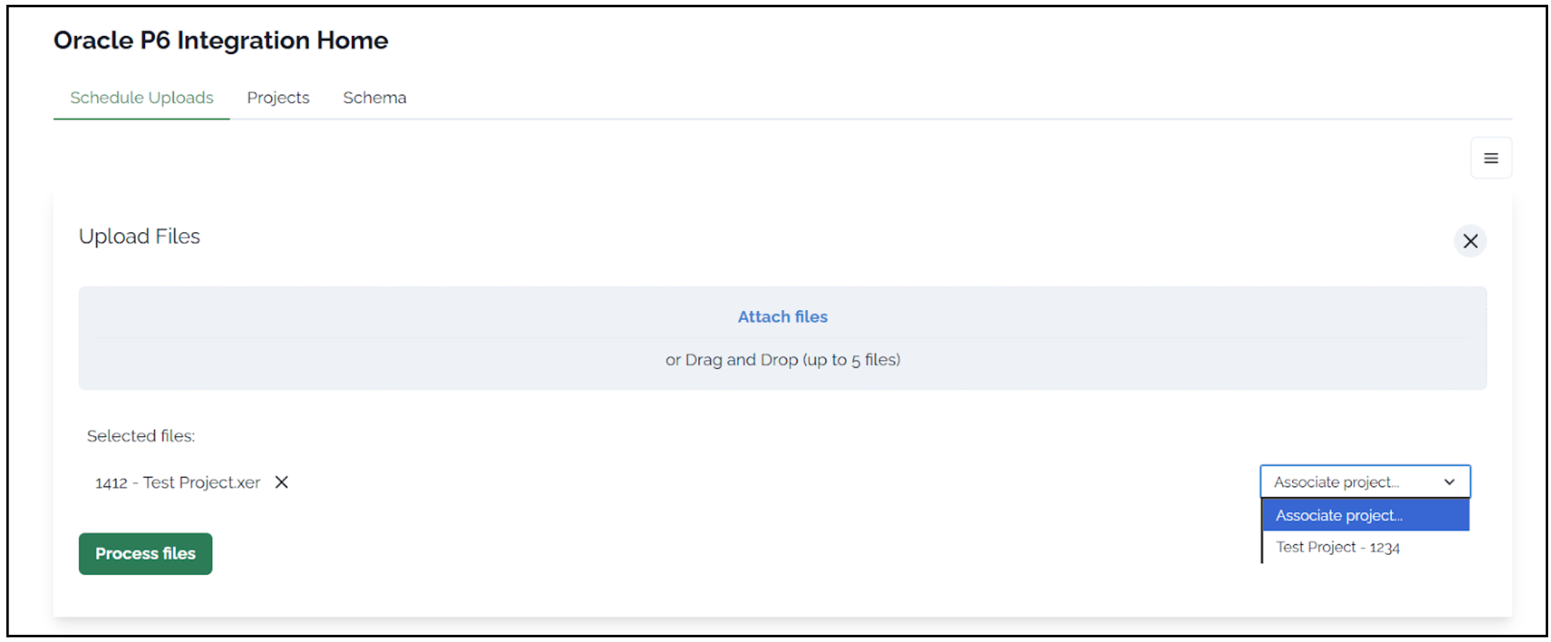 Project Assignment Interface