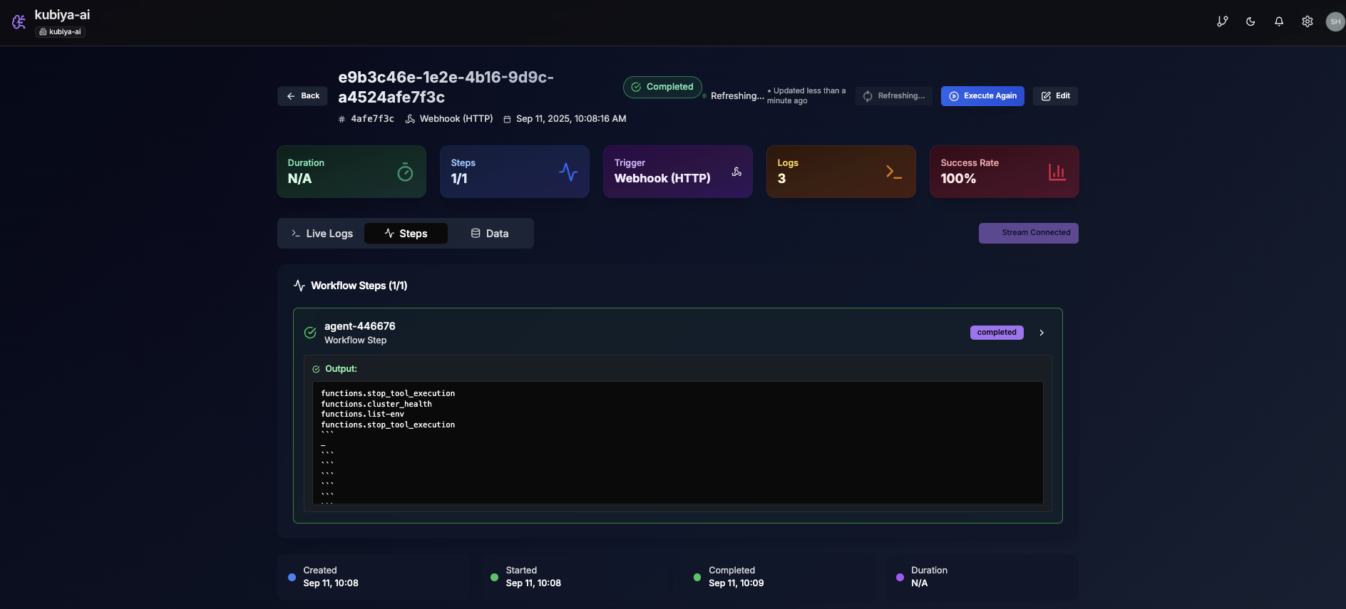 Detailed Execution View