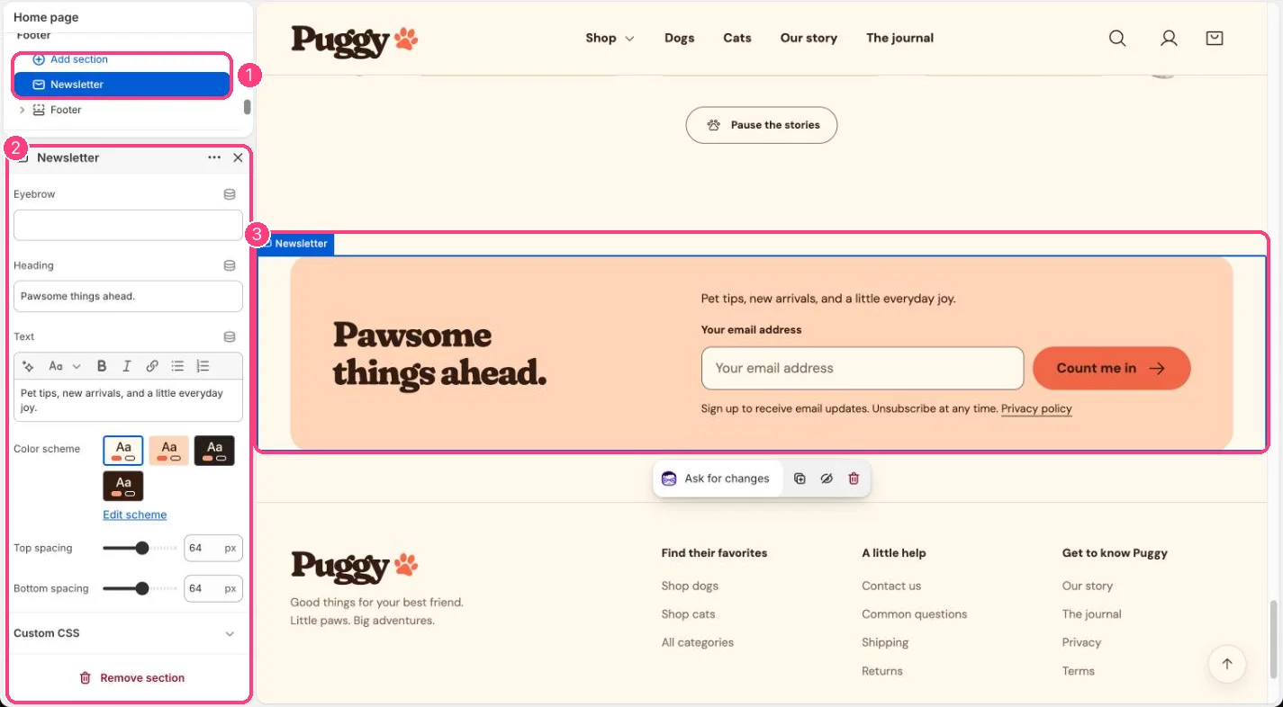 Newsletter in the theme editor