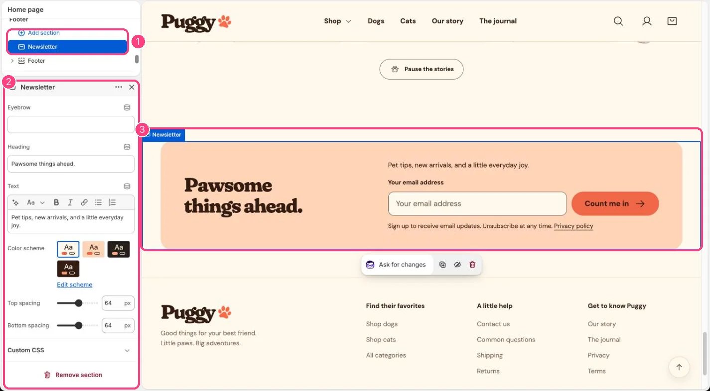 Newsletter in the theme editor