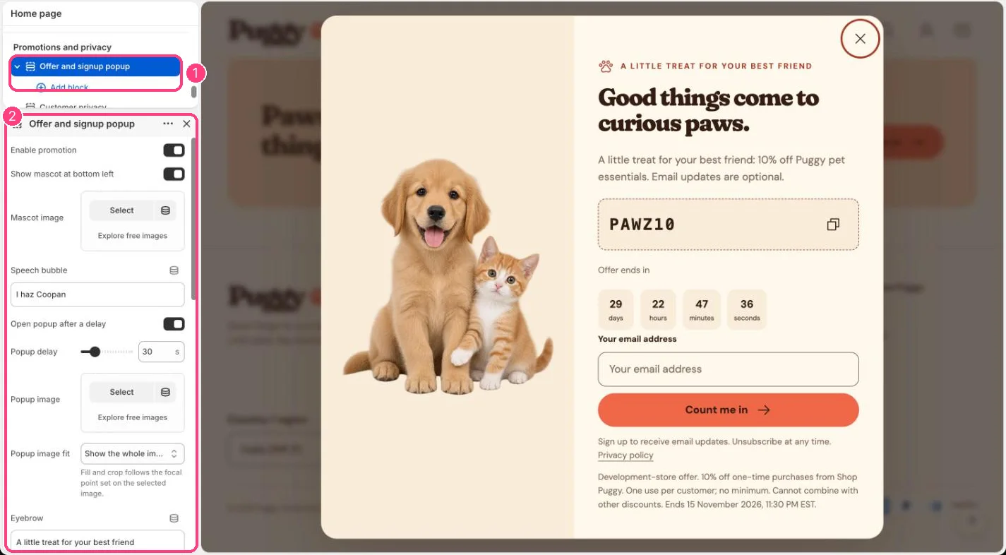 Offer and signup popup in the theme editor