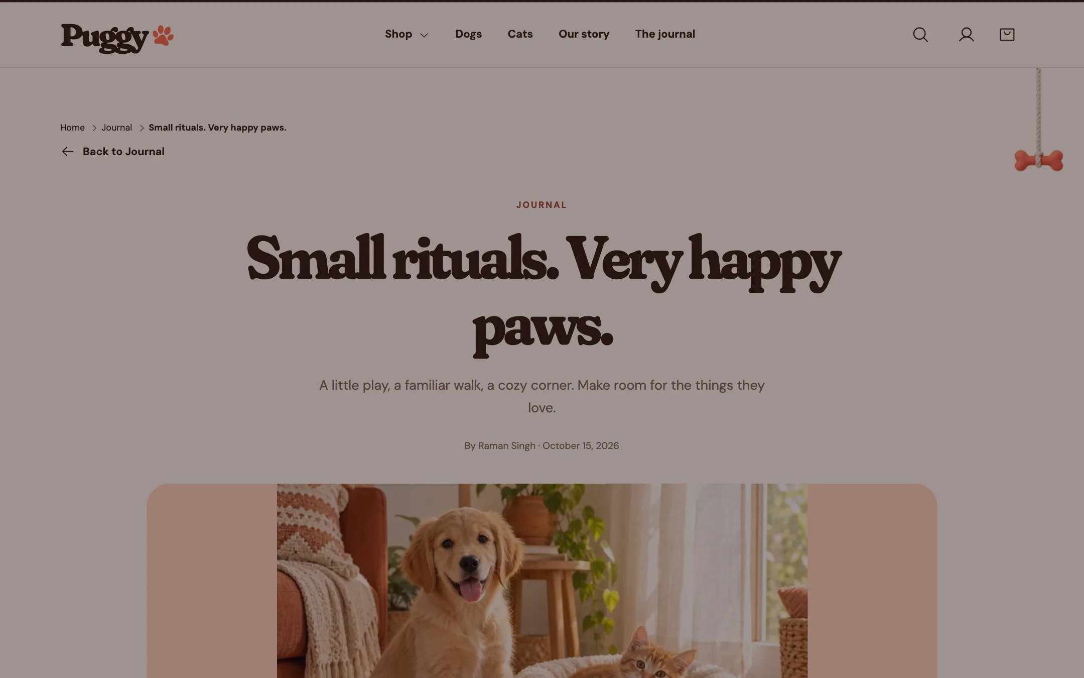 Article on the storefront
