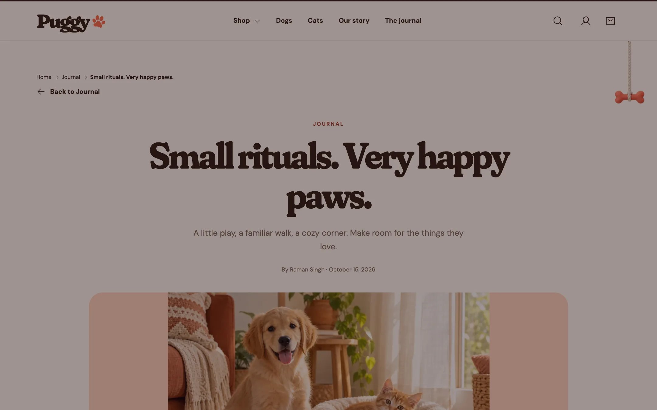 Article on the storefront
