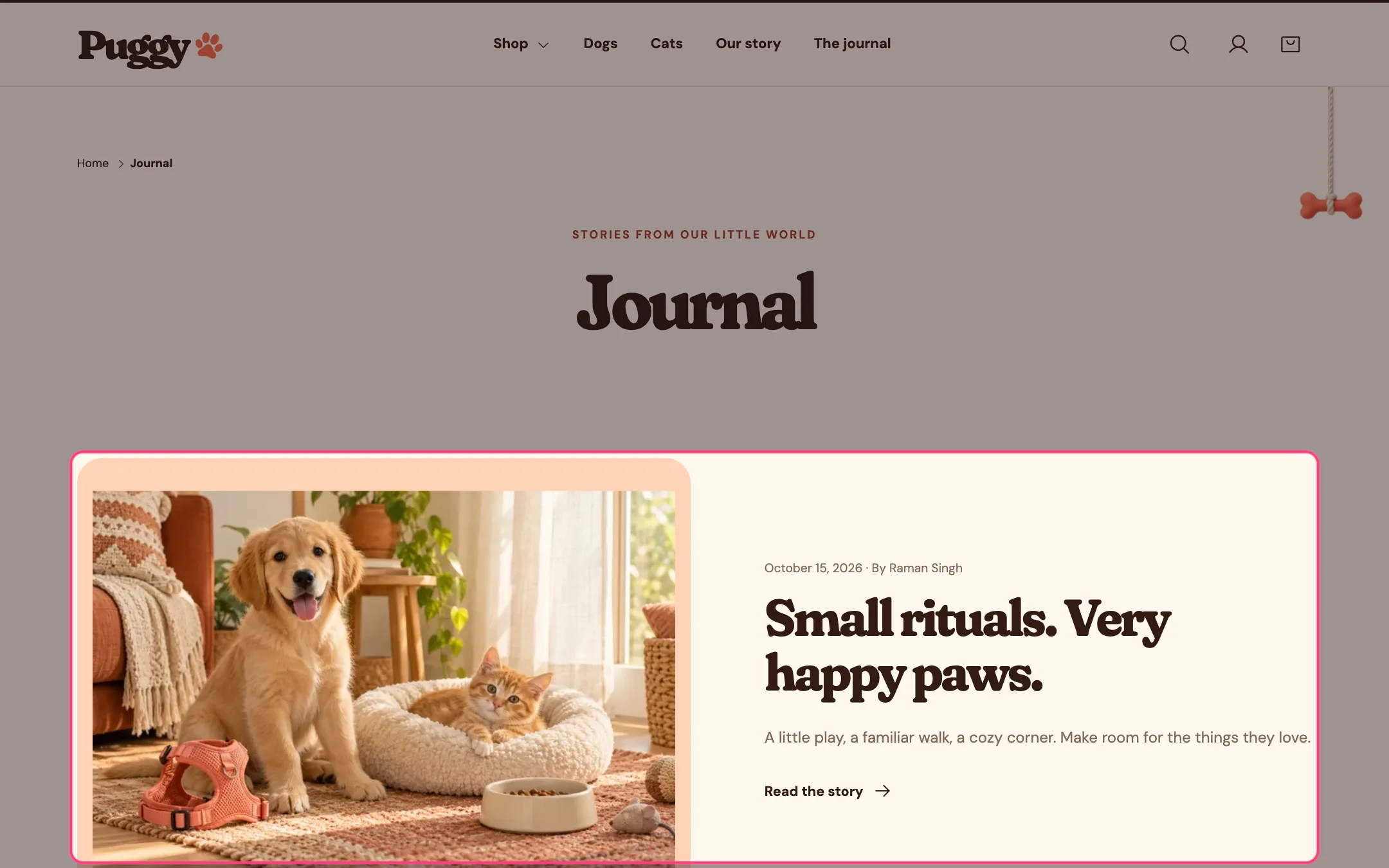 Blog articles on the storefront