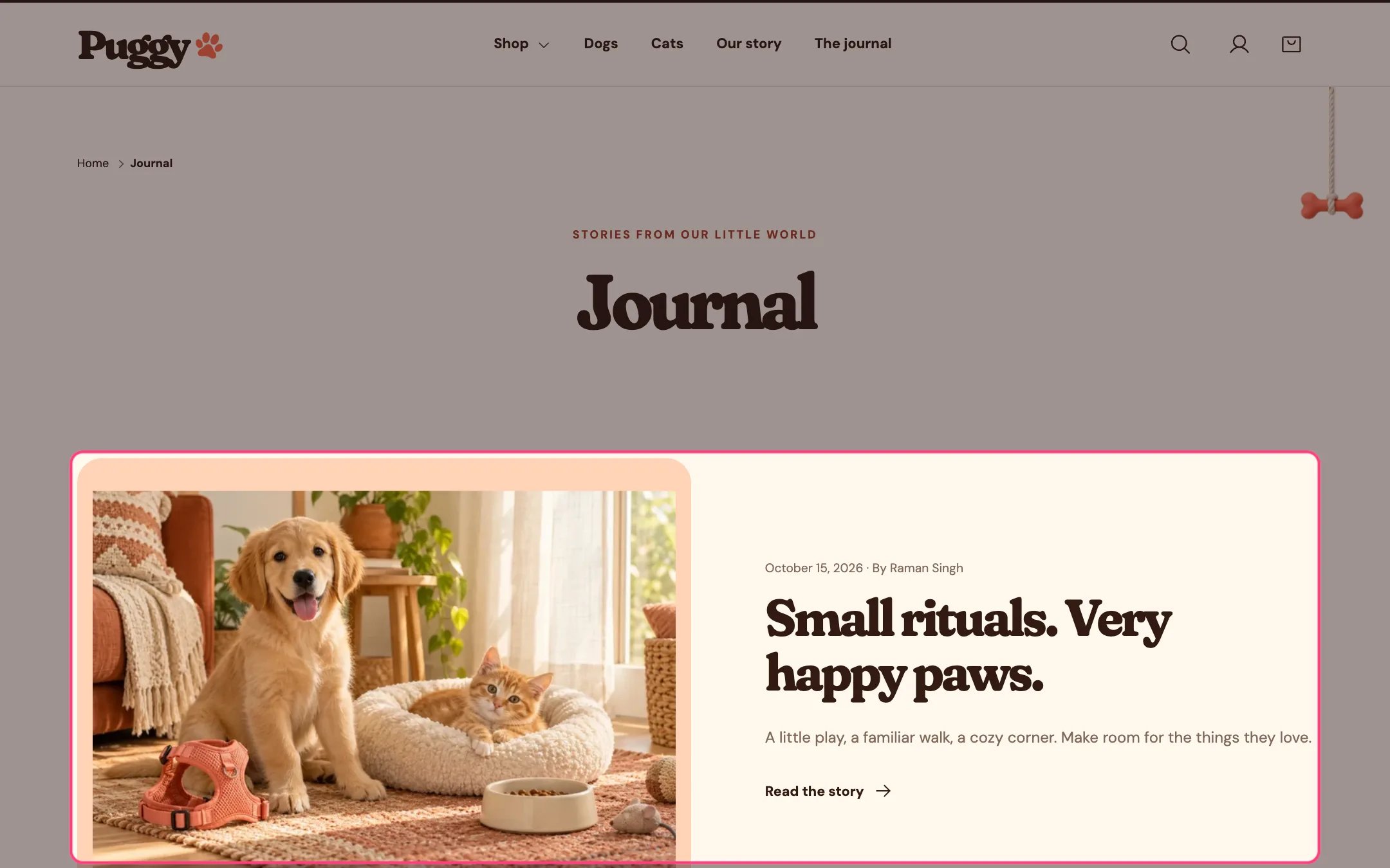 Blog articles on the storefront