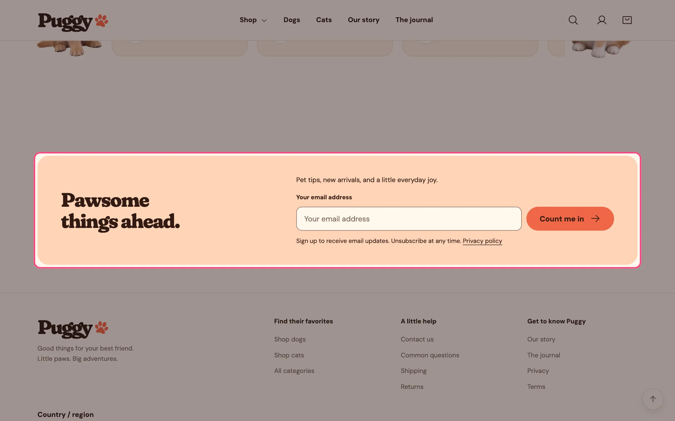 Newsletter on the storefront