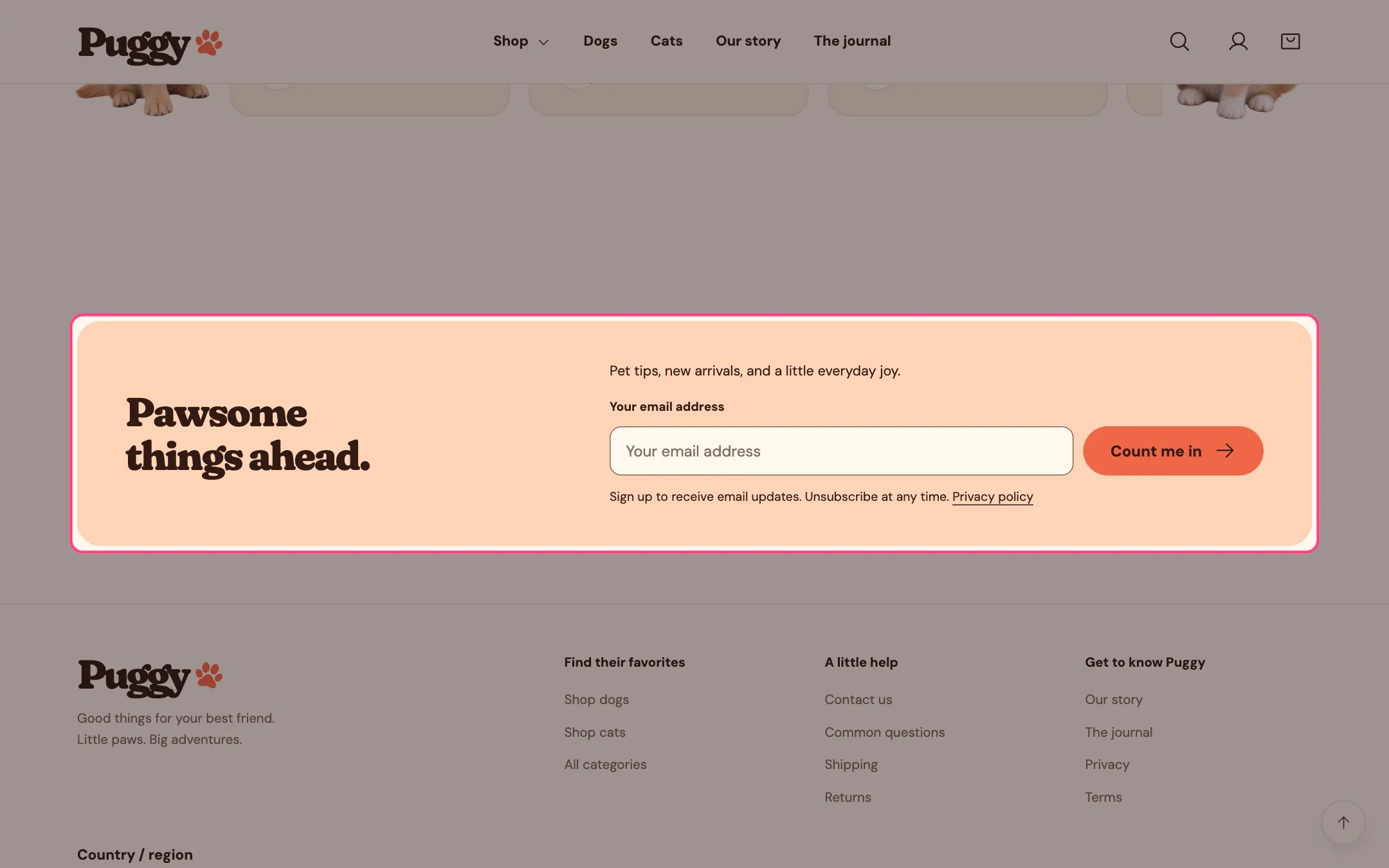 Newsletter on the storefront
