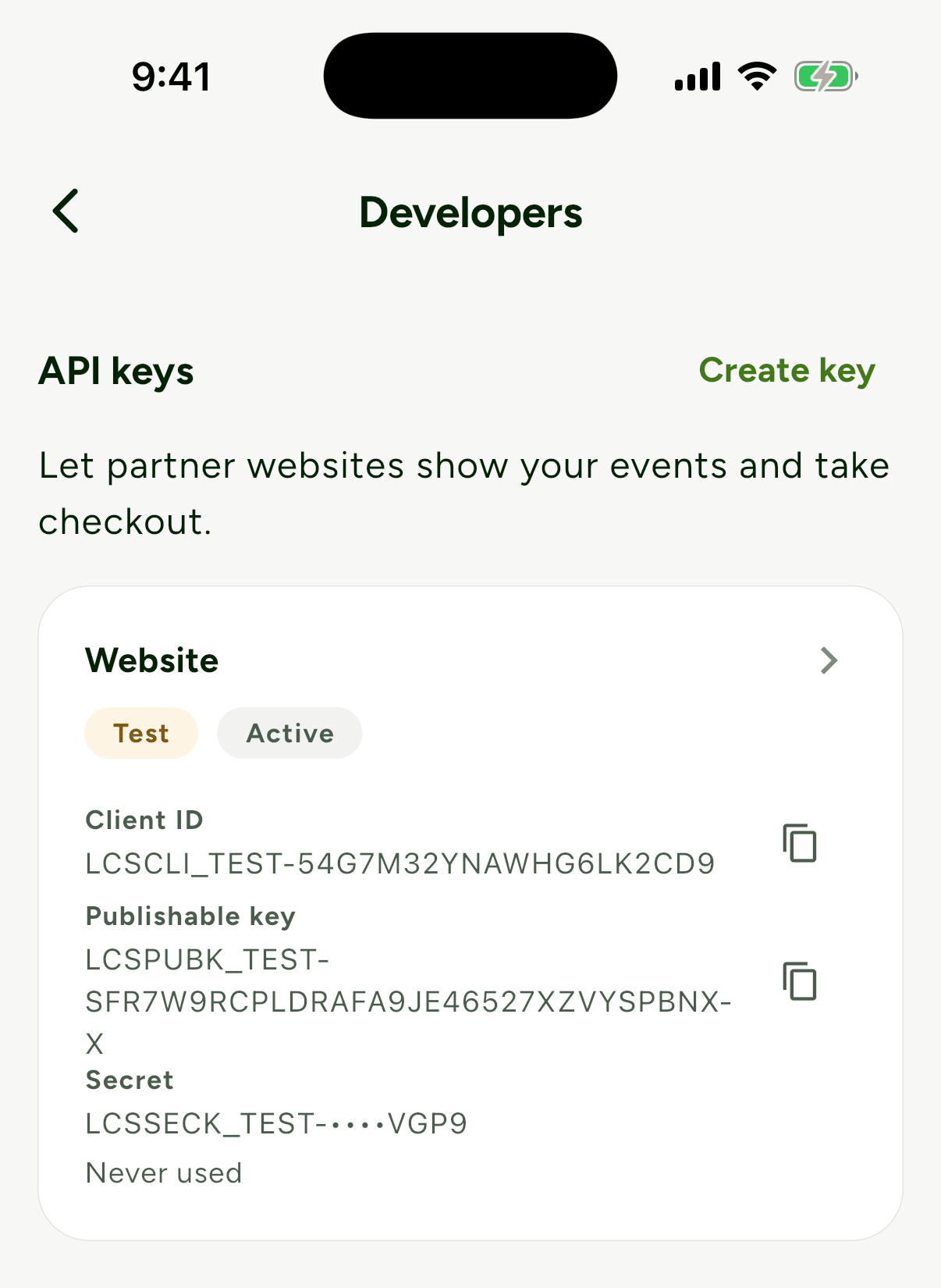 The API keys list showing one key named Website with Test and Active badges, client ID, publishable key and a masked secret