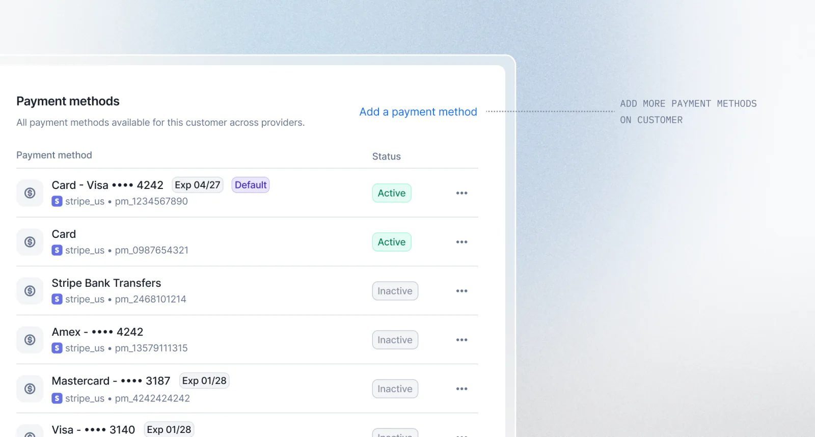 Lago customer record storing several payment methods, including a manual option.