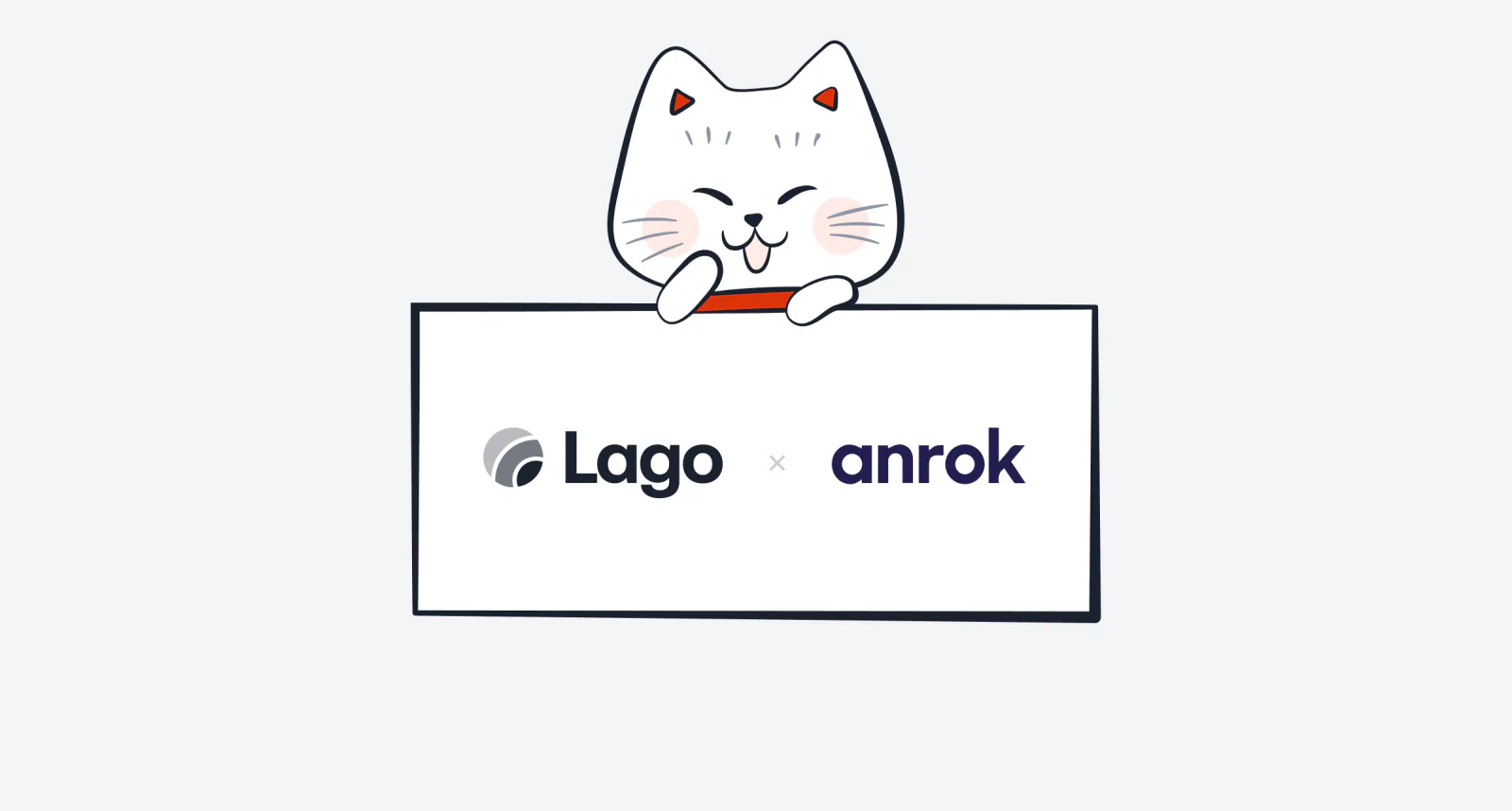 Lago connected to Anrok for sales tax calculation.