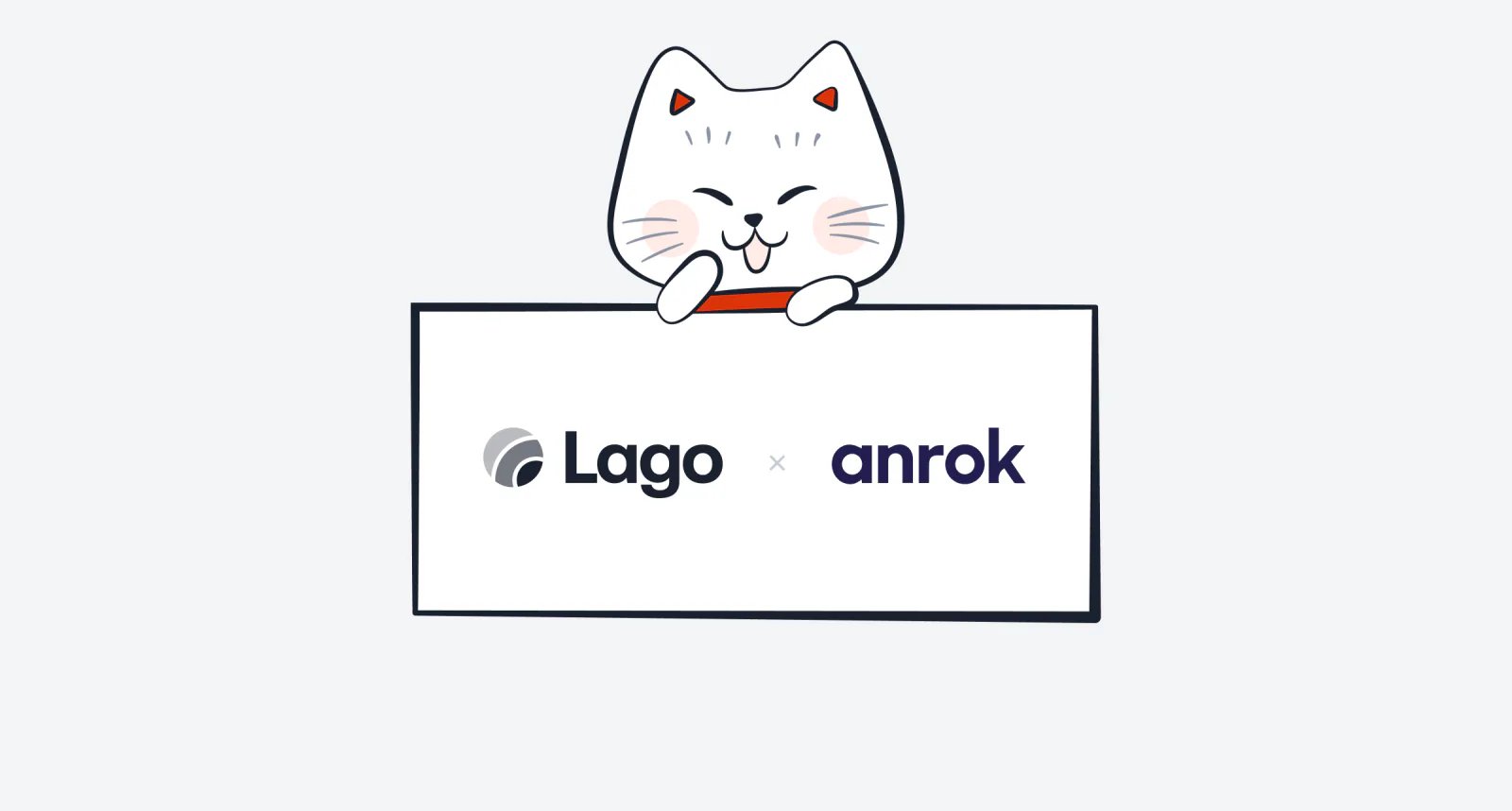 Lago connected to Anrok for sales tax calculation.