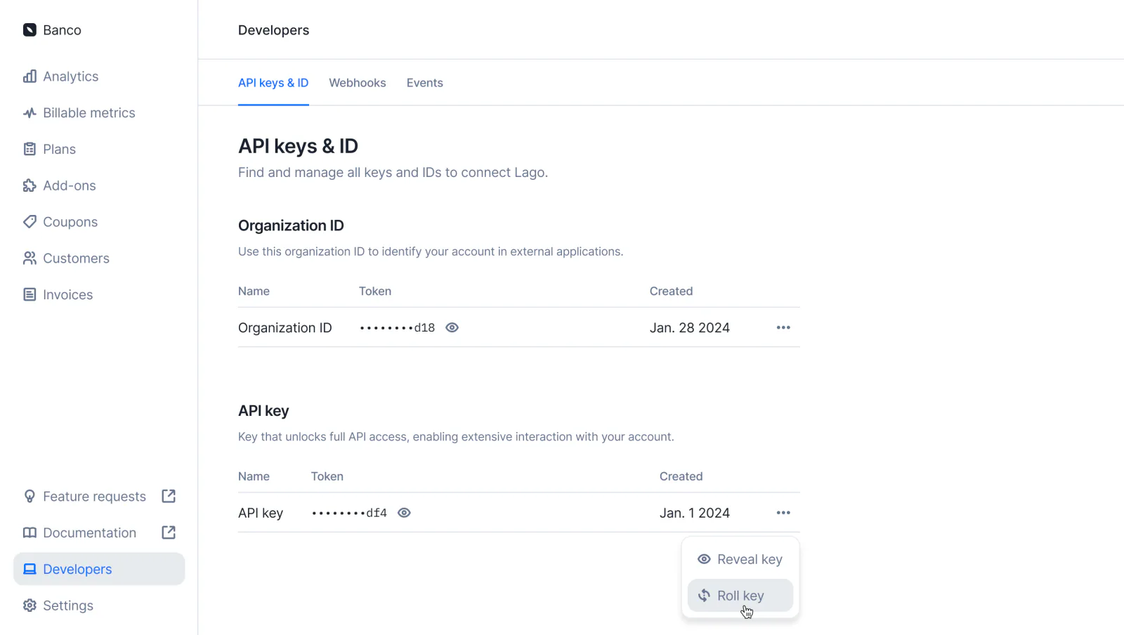 Lago API key being rotated from the developer section.