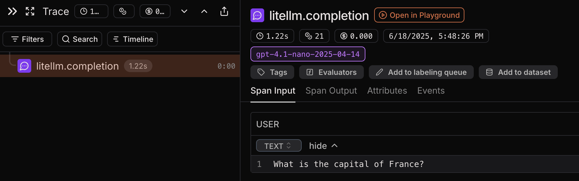 LiteLLM trace