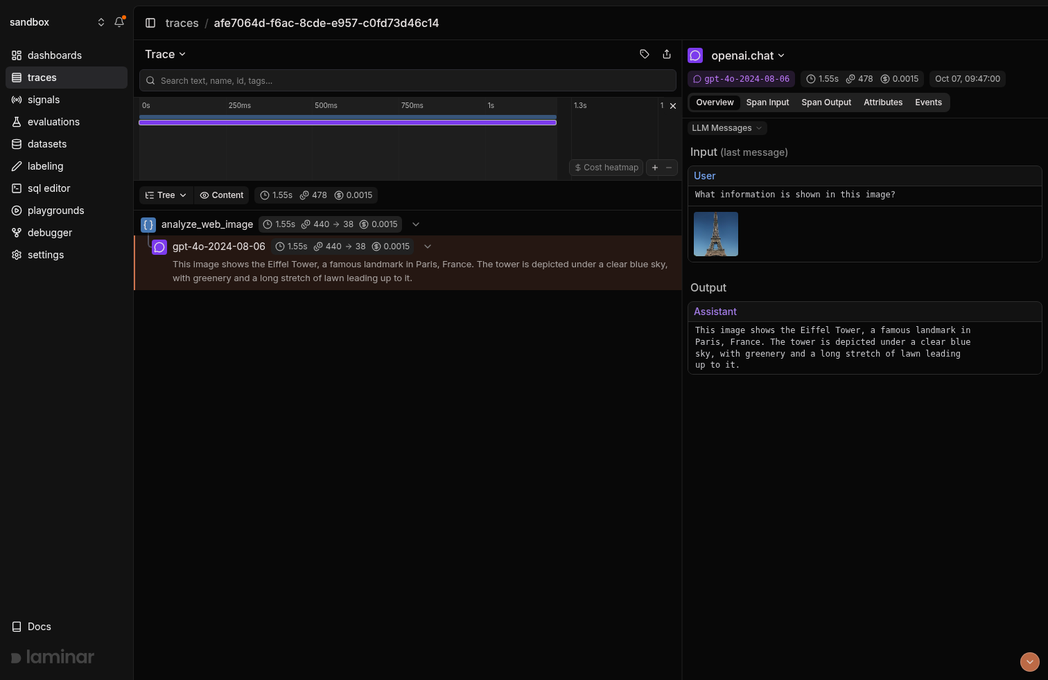 Trace view showing an image input