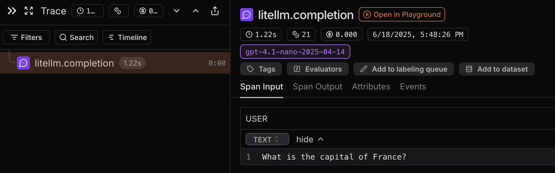 LiteLLM trace