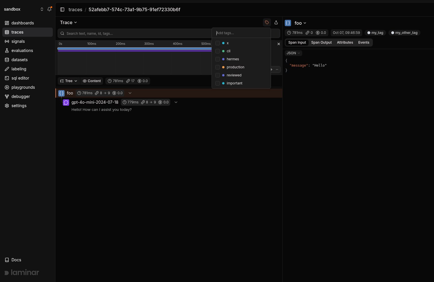Adding tags to a span in the Laminar UI