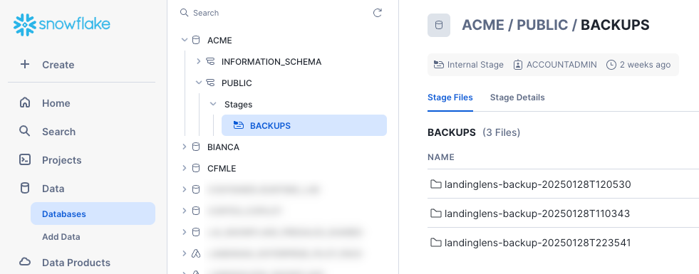 backups_stage