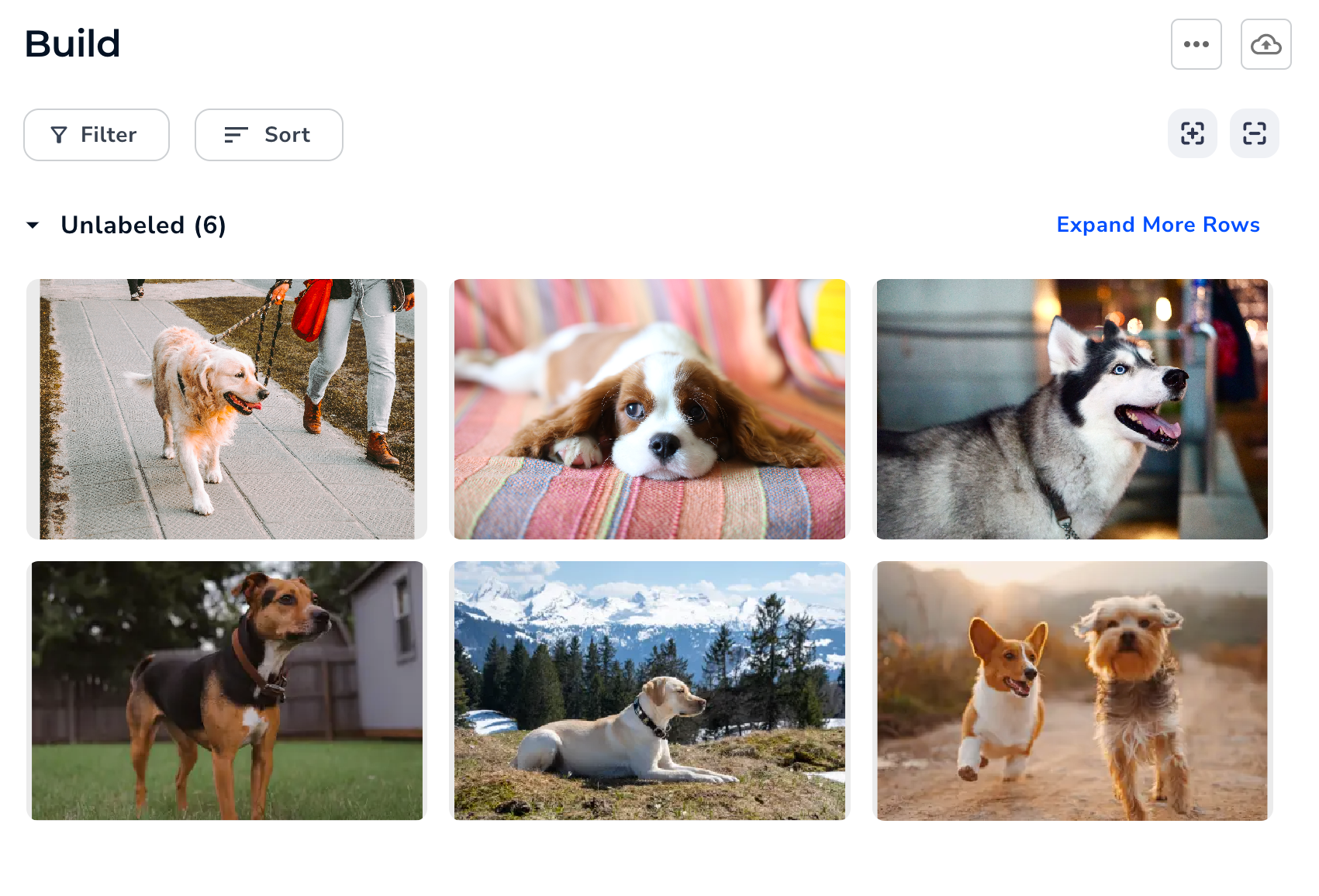 images_different